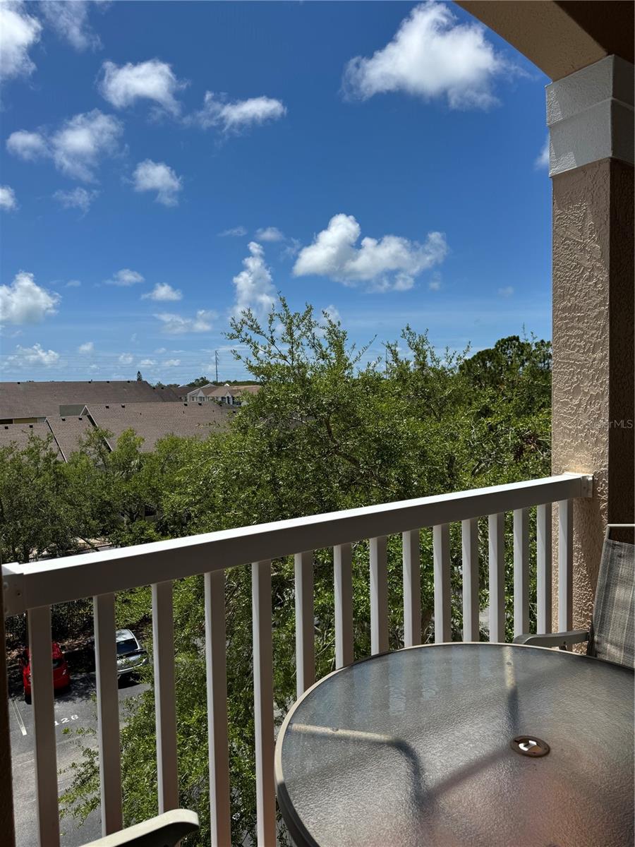 1216 S MISSOURI AVE #317, CLEARWATER, FL — photo 43