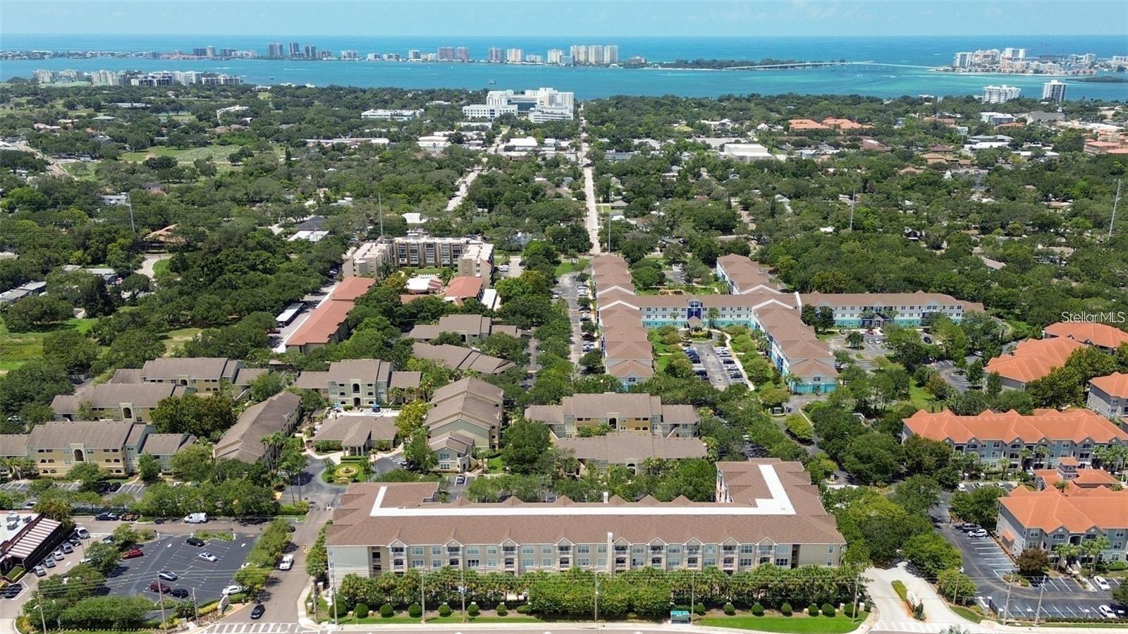1216 S MISSOURI AVE #317, CLEARWATER, FL — photo 45