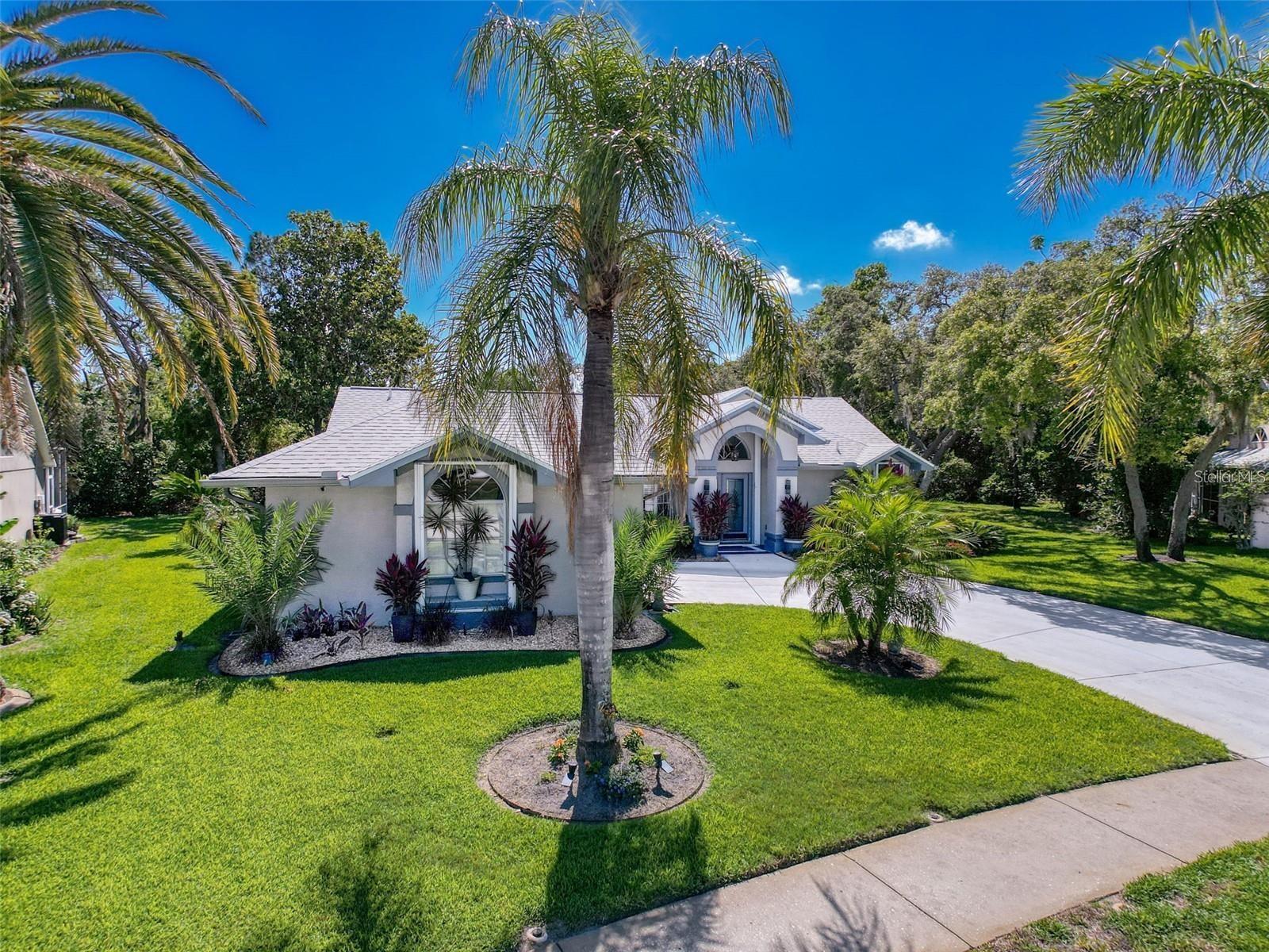 13627 GLAZE BROOK DR, HUDSON, FL — photo 8