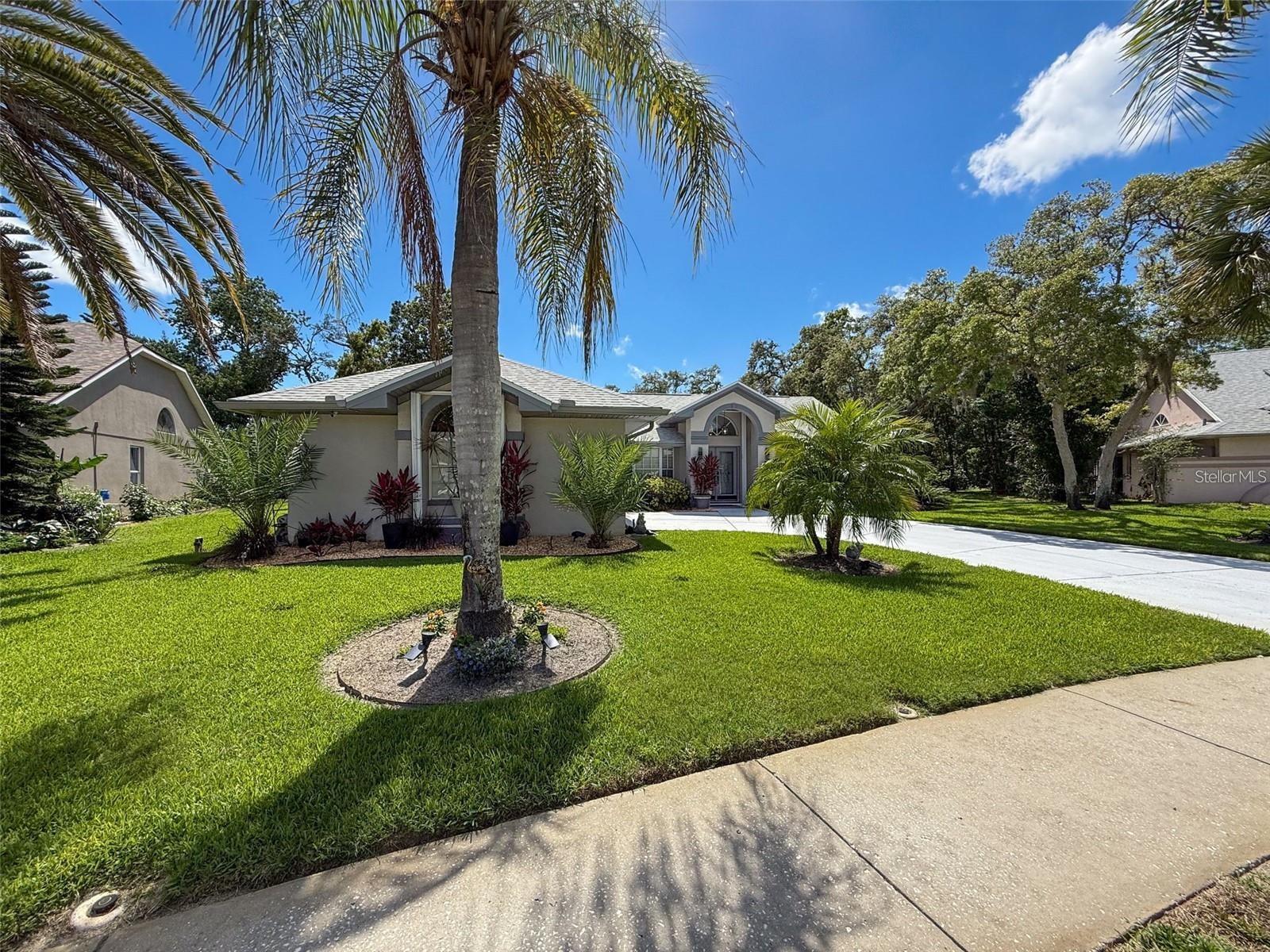 13627 GLAZE BROOK DR, HUDSON, FL — photo 67