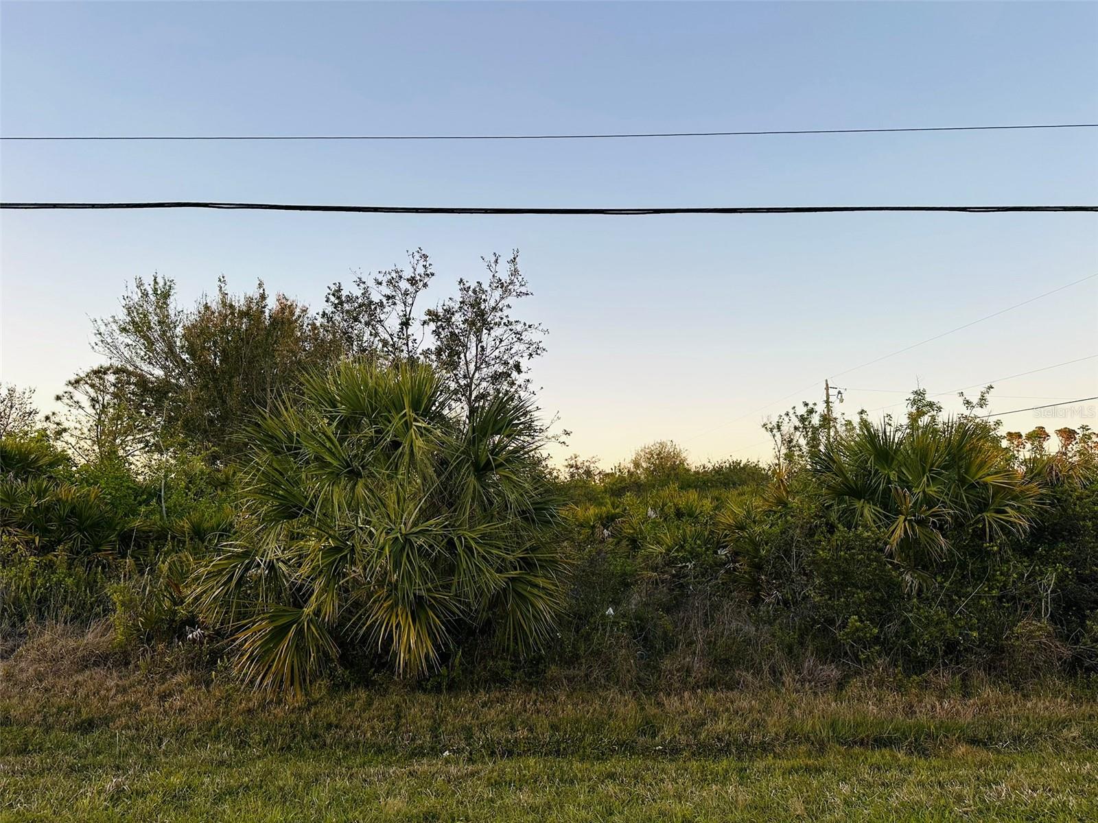 12204 ZITTLE AVE, PORT CHARLOTTE, FL — photo 6