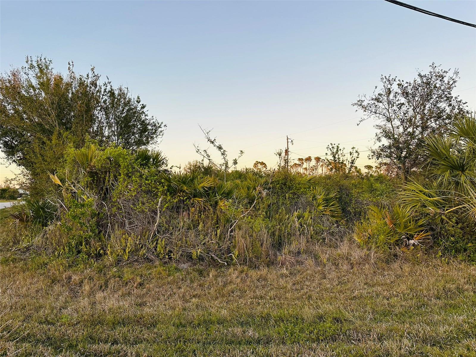 12204 ZITTLE AVE, PORT CHARLOTTE, FL — photo 2