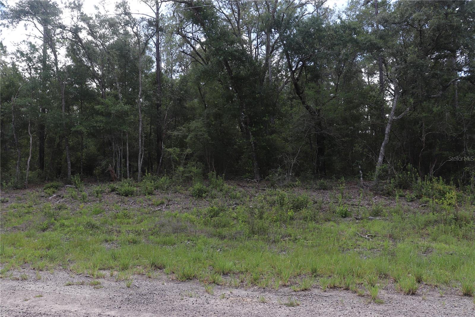 653 VERCELLI LN, DUNNELLON, FL