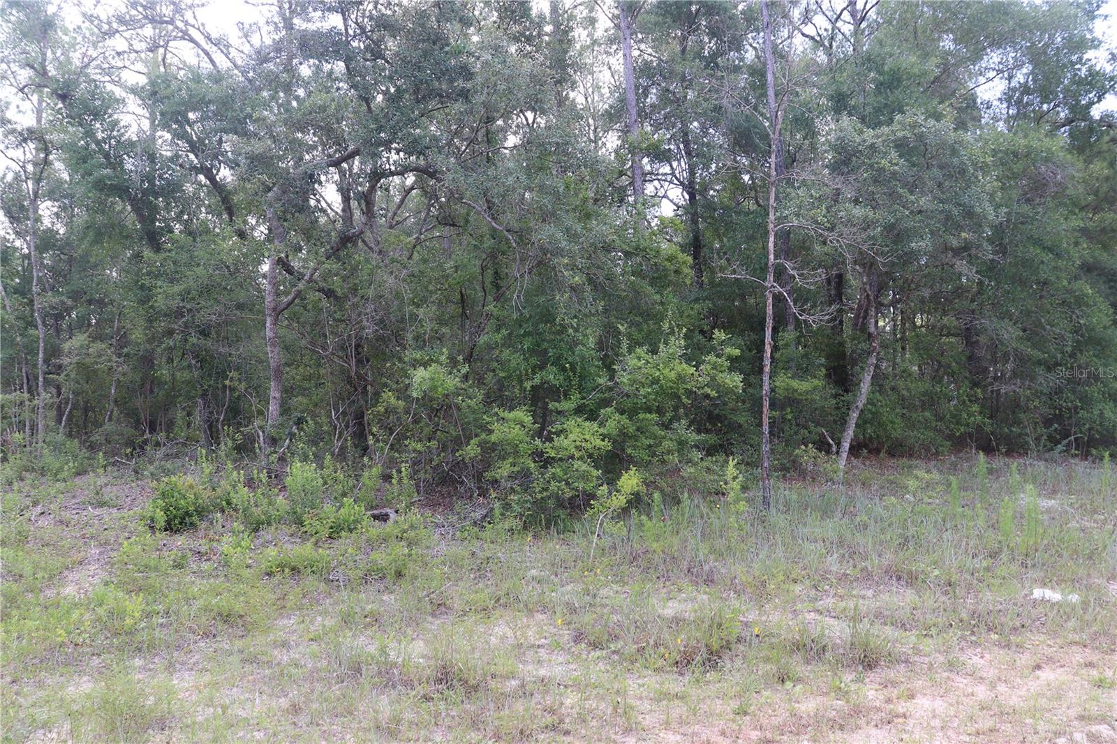 653 VERCELLI LN, DUNNELLON, FL — photo 2