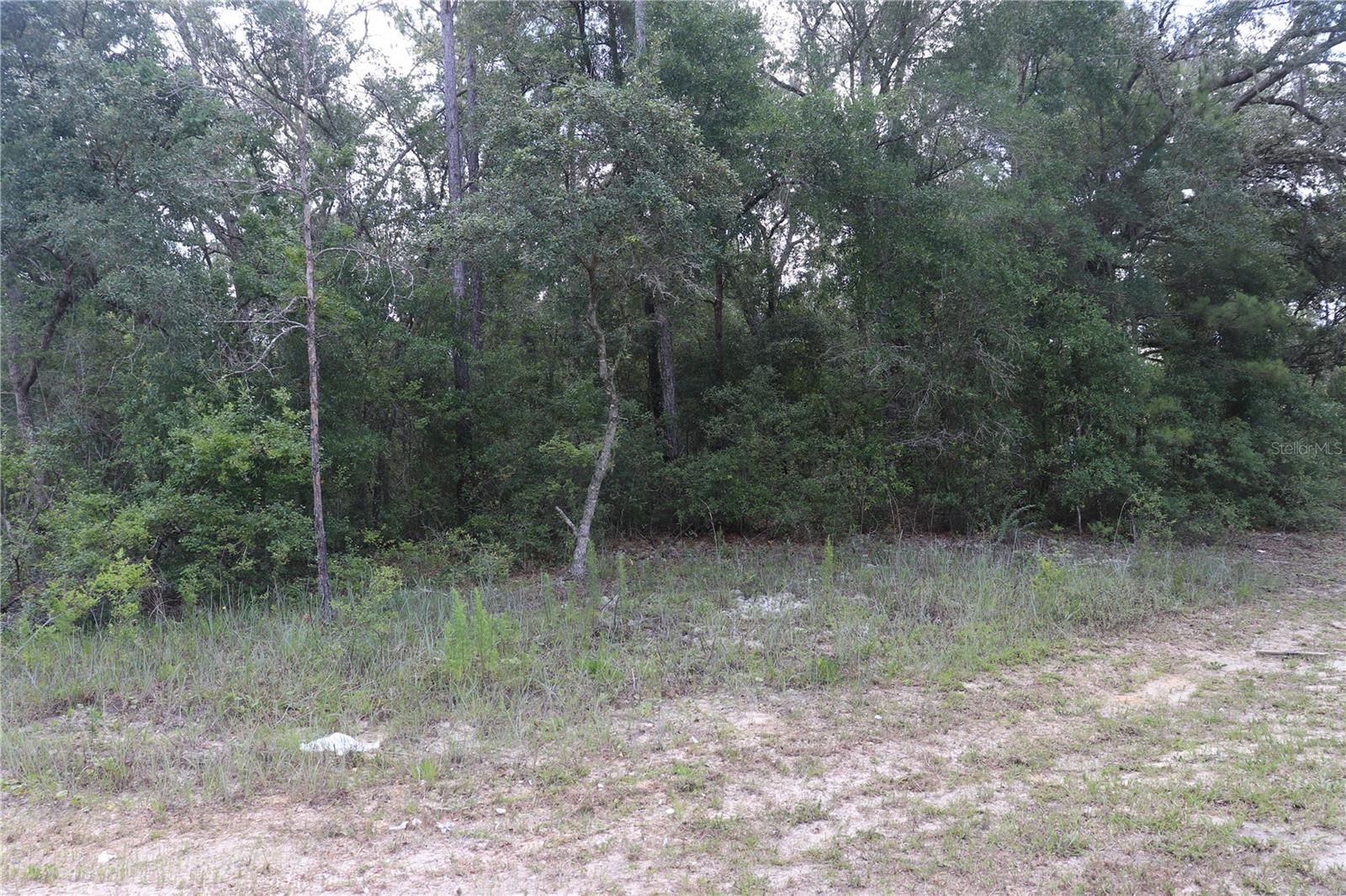 653 VERCELLI LN, DUNNELLON, FL — photo 3
