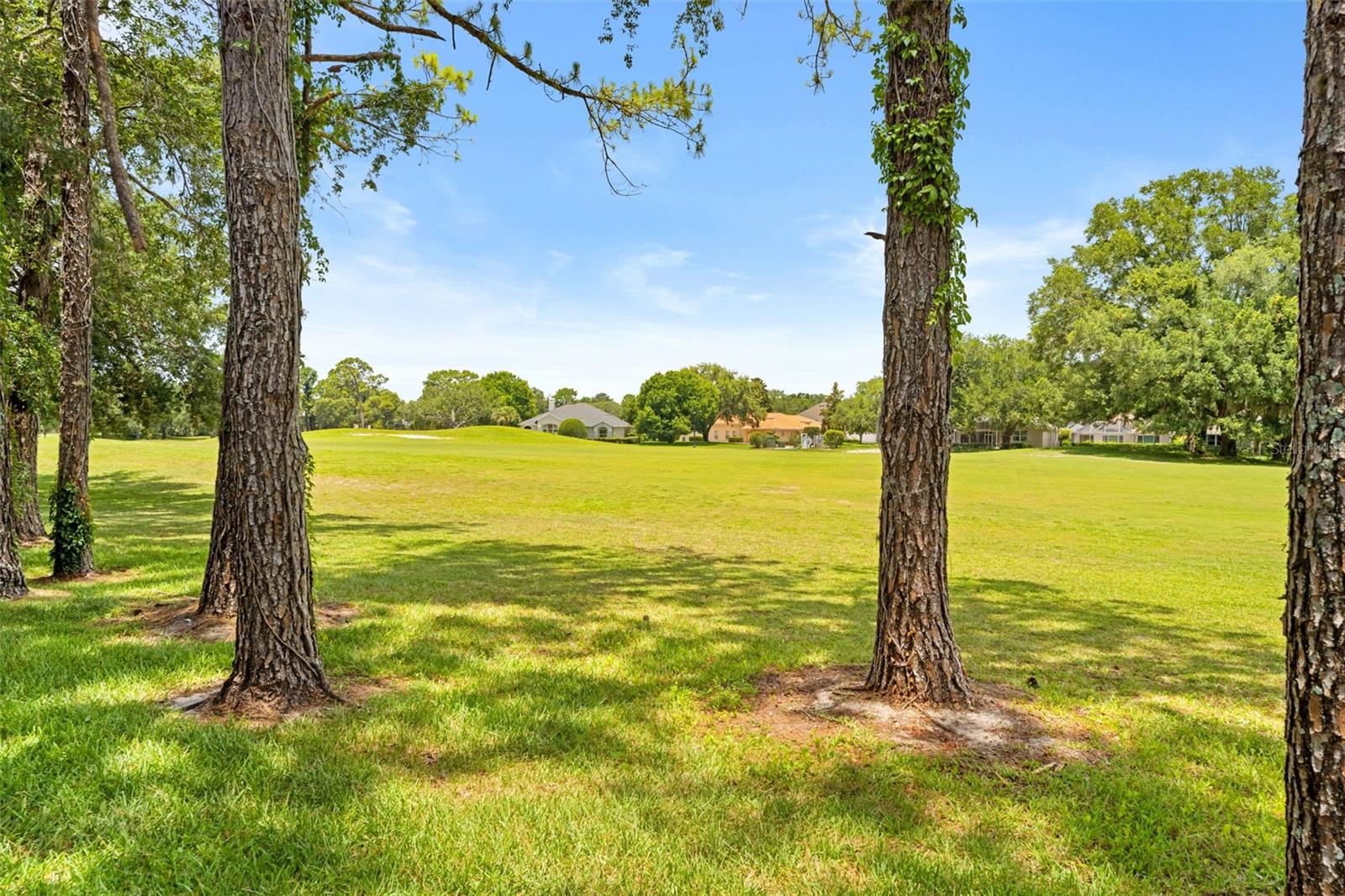 14425 STERLING RUN, SPRING HILL, FL — photo 62
