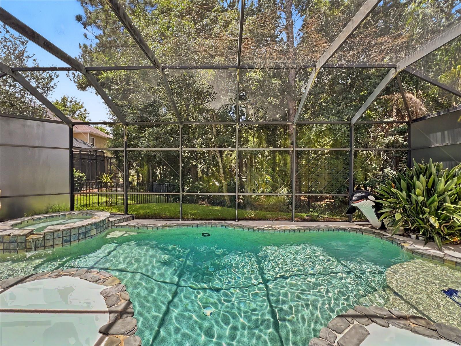 816 RUNNER OAK ST, CELEBRATION, FL — photo 2