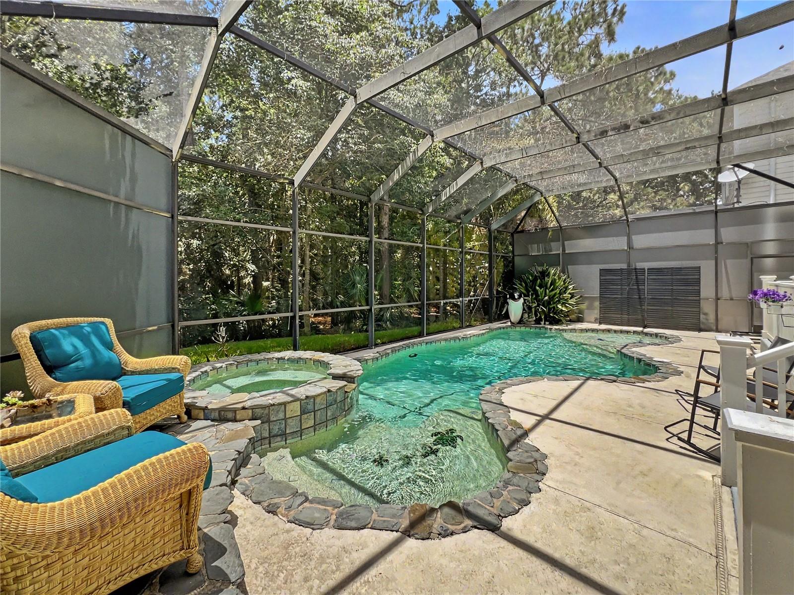 816 RUNNER OAK ST, CELEBRATION, FL — photo 3