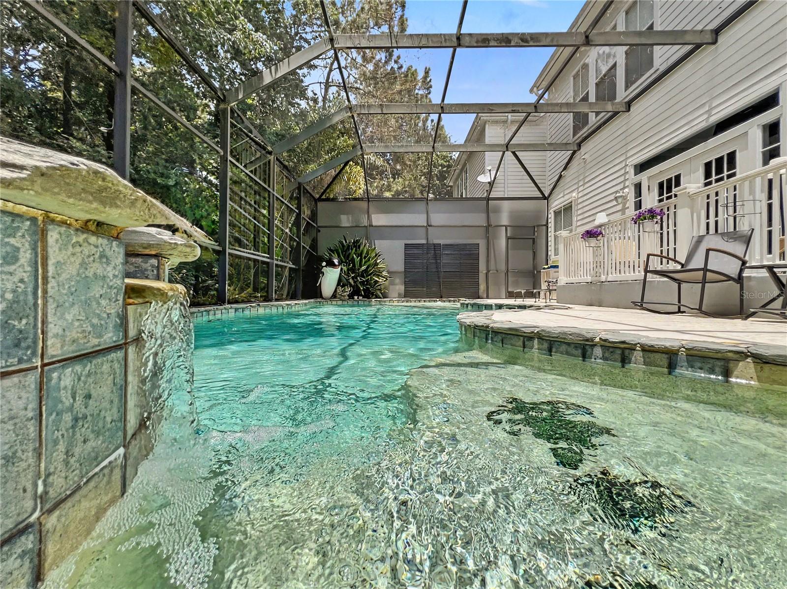 816 RUNNER OAK ST, CELEBRATION, FL — photo 4