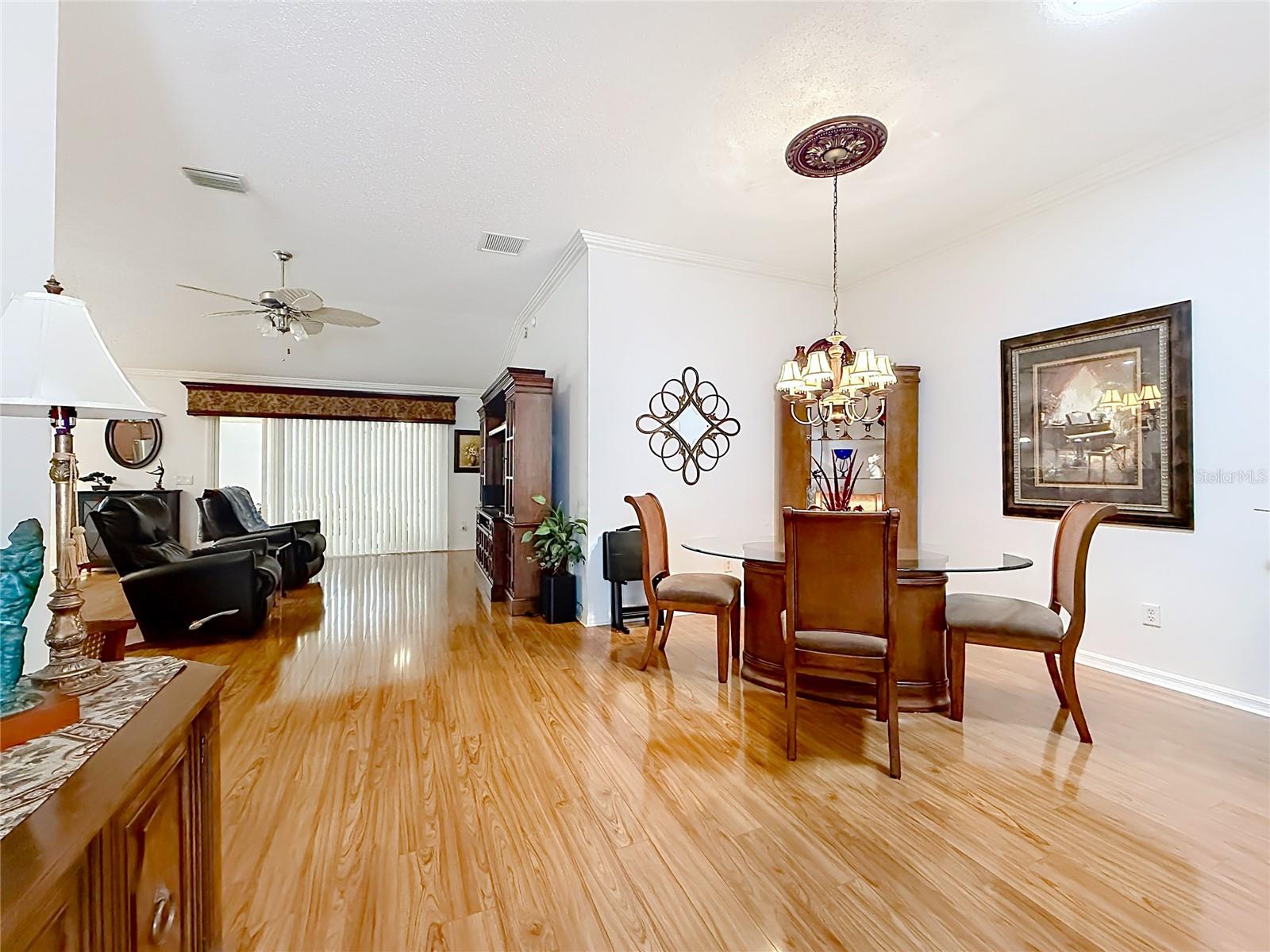 858 ASTOR WAY, THE VILLAGES, FL — photo 8