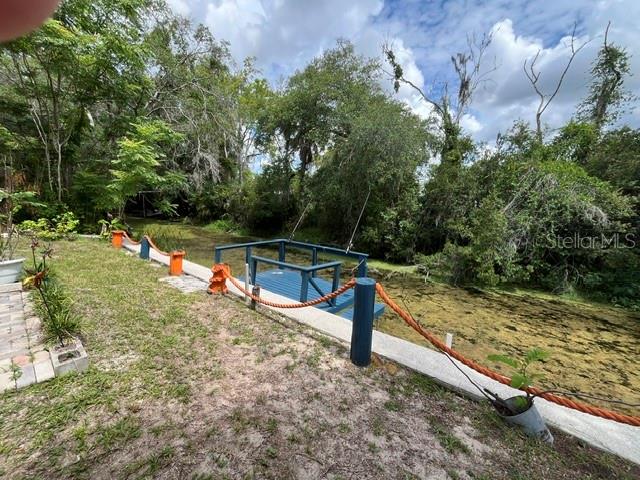 10019 E BLUEGILL CT, INVERNESS, FL — photo 17