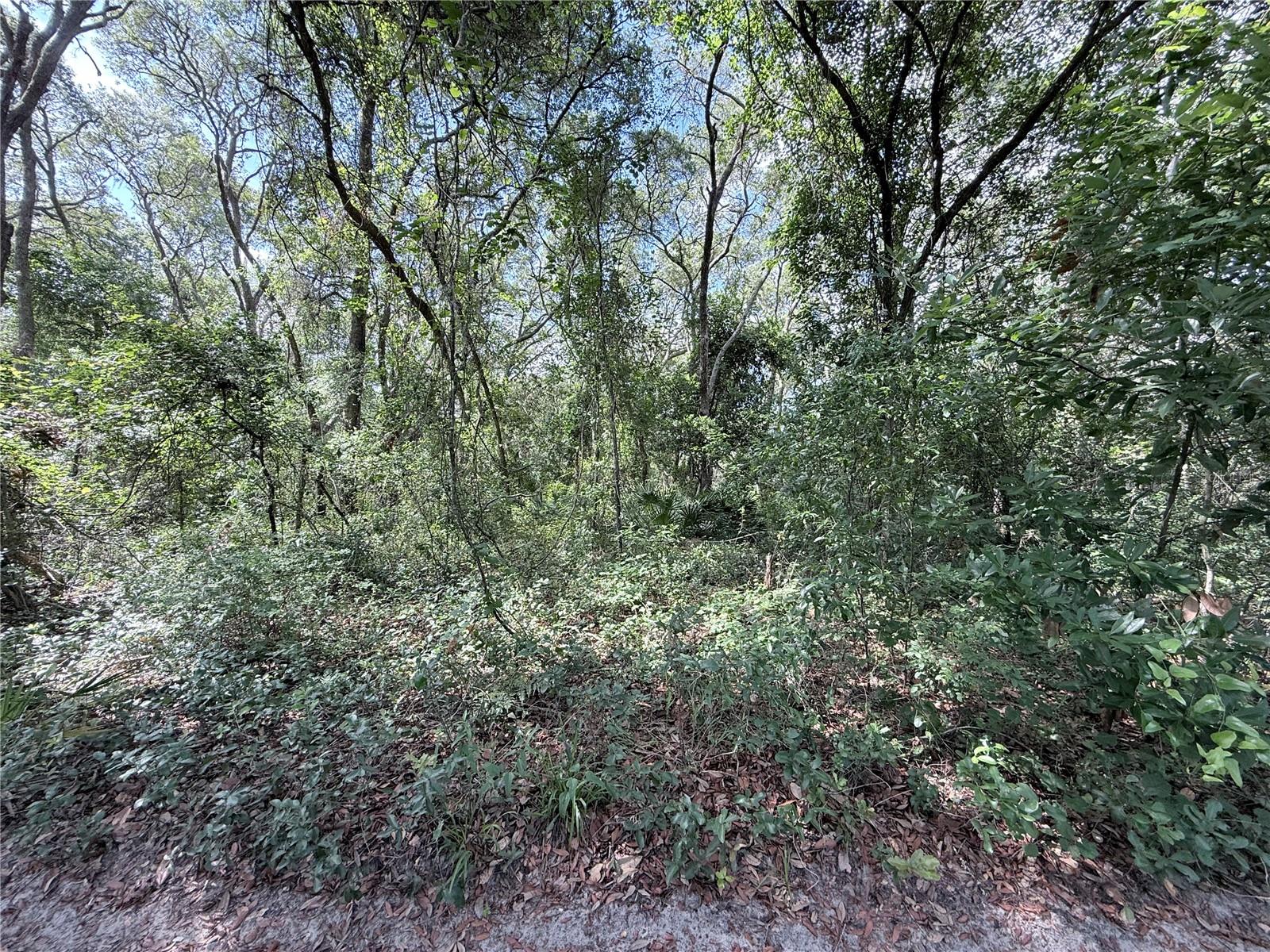 TBD SW 150TH ST, DUNNELLON, FL