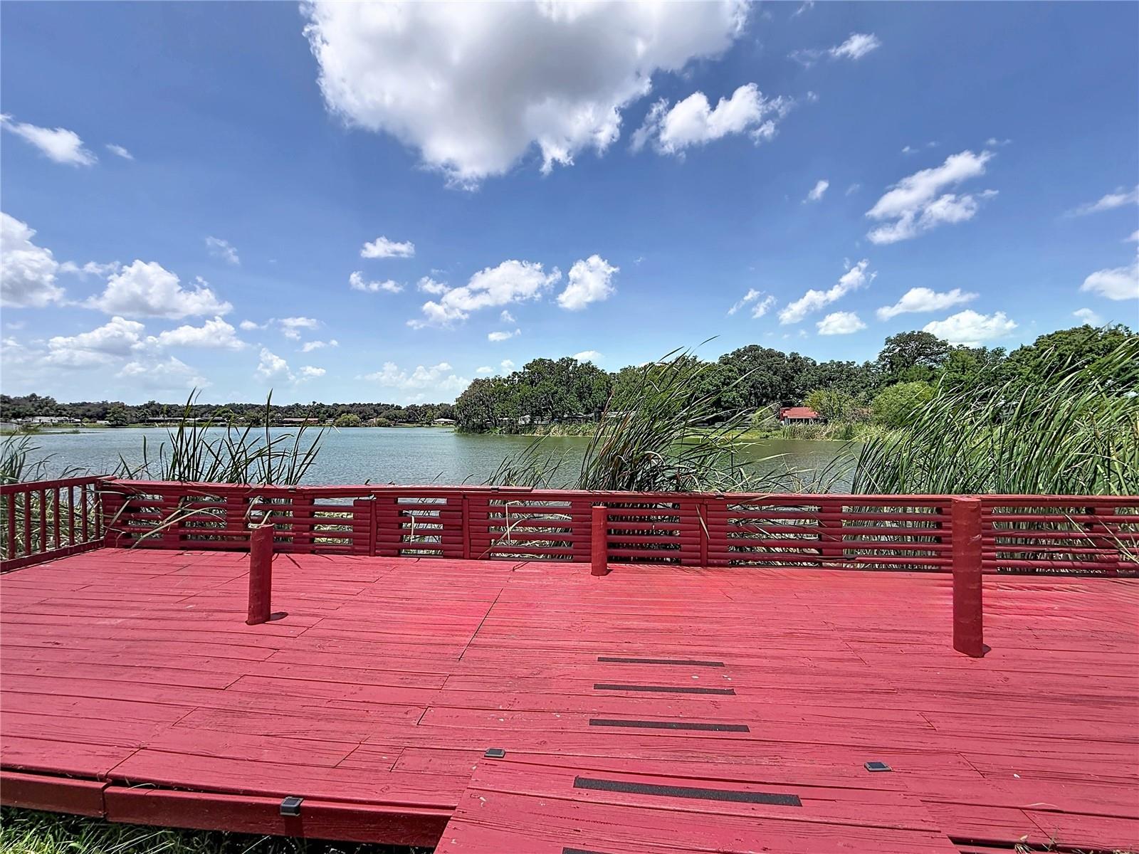 912 SHANGRI LA DR, SEFFNER, FL — photo 39