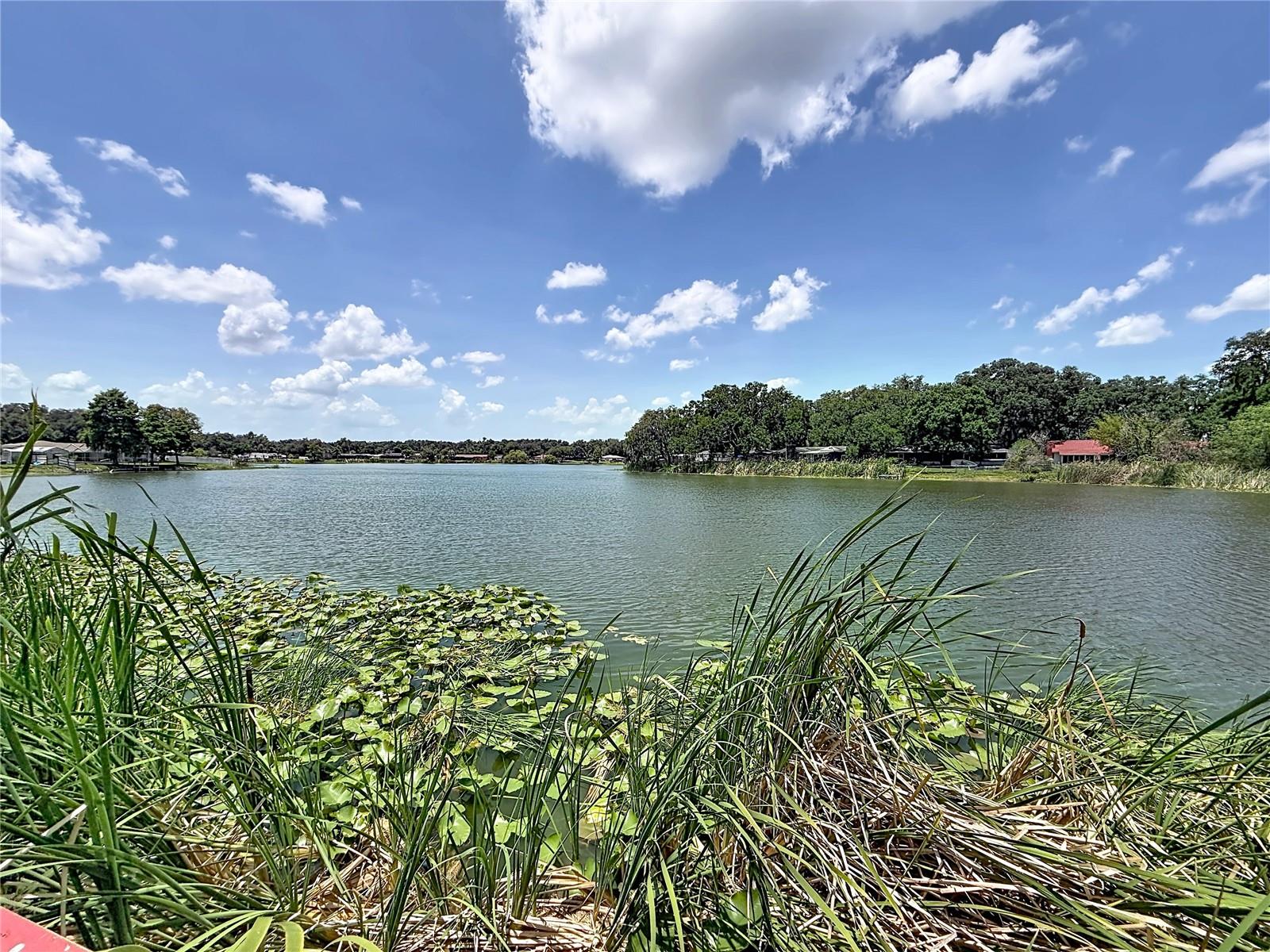 912 SHANGRI LA DR, SEFFNER, FL — photo 40