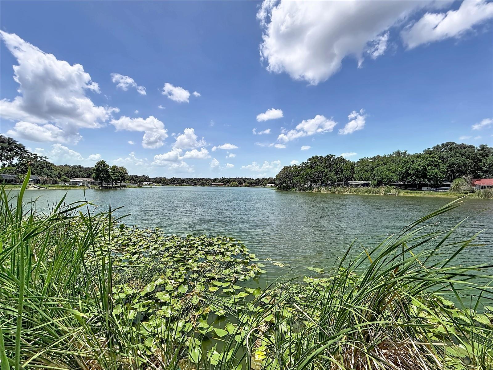 912 SHANGRI LA DR, SEFFNER, FL — photo 41
