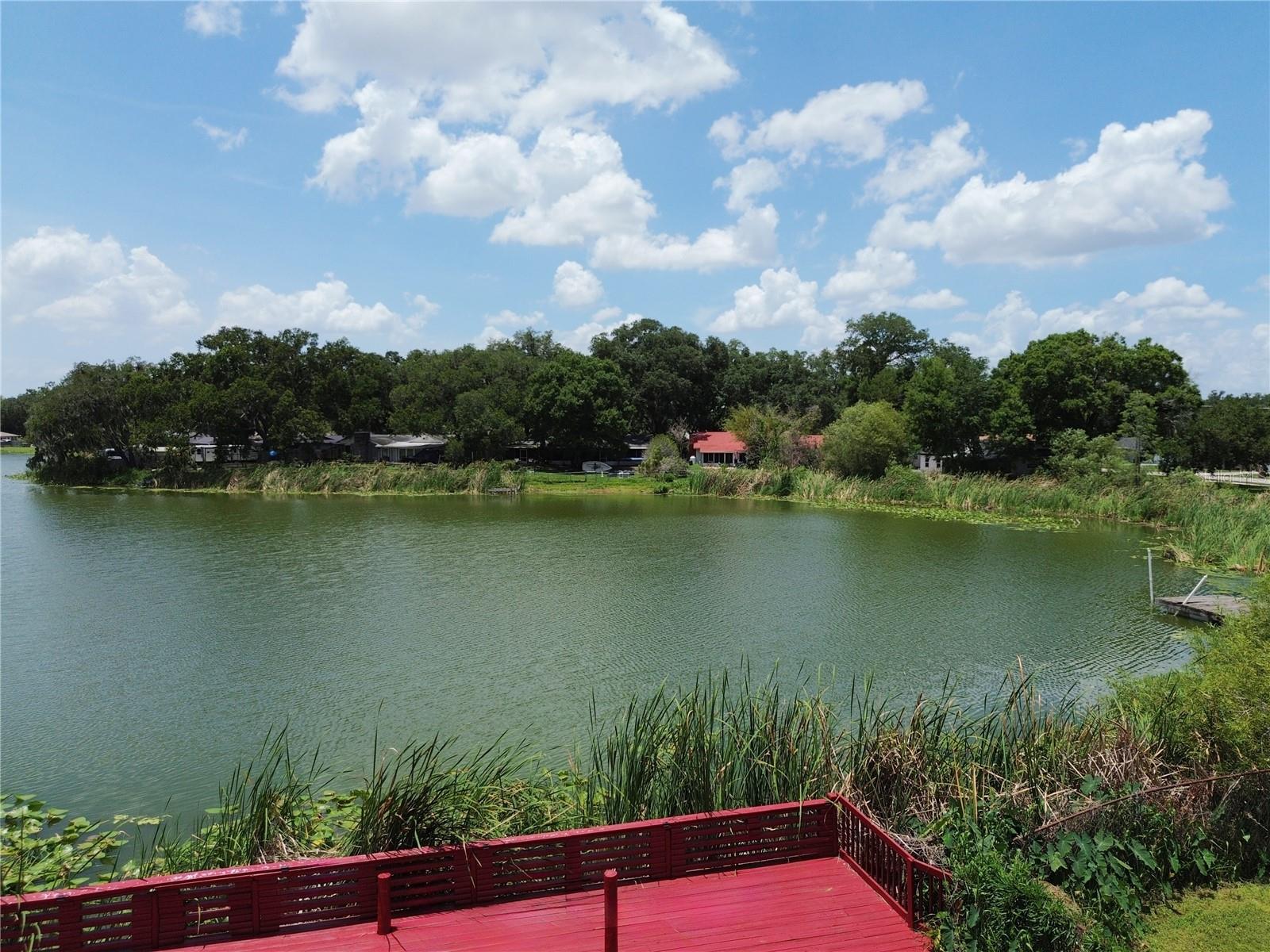 912 SHANGRI LA DR, SEFFNER, FL — photo 46