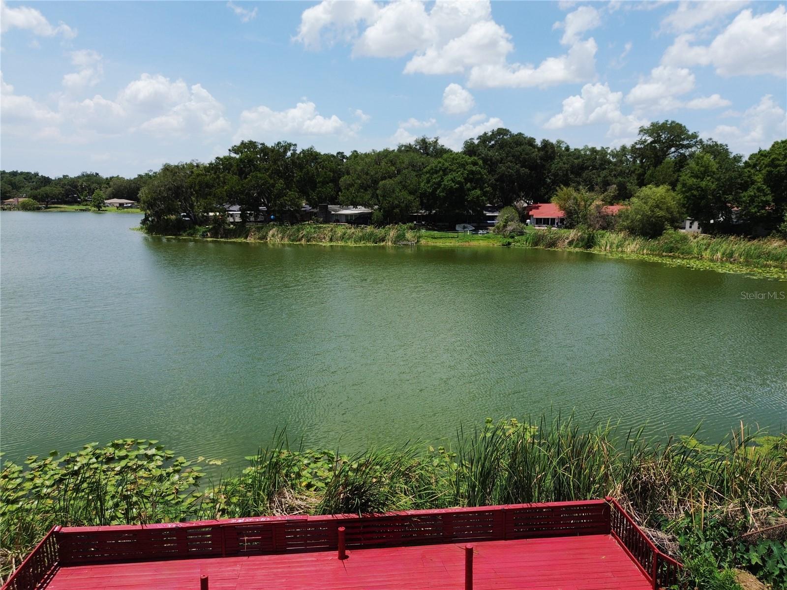 912 SHANGRI LA DR, SEFFNER, FL — photo 47