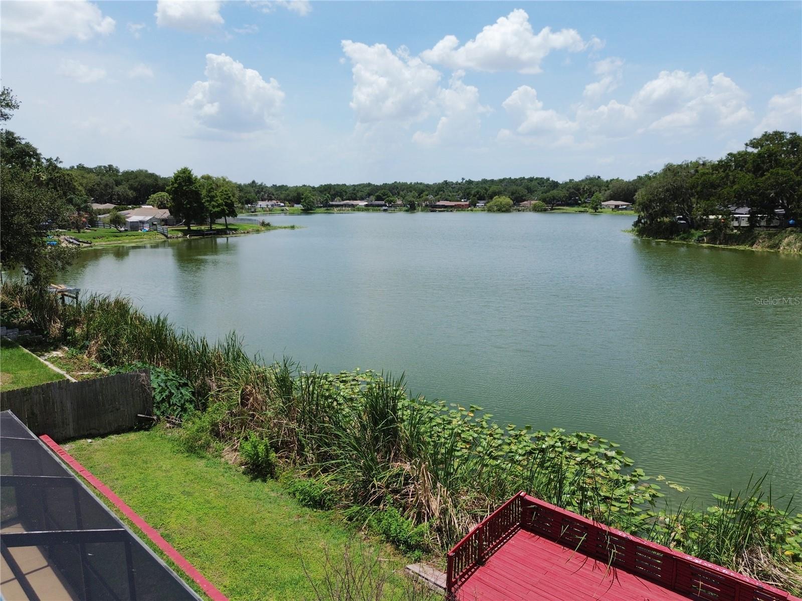 912 SHANGRI LA DR, SEFFNER, FL — photo 48