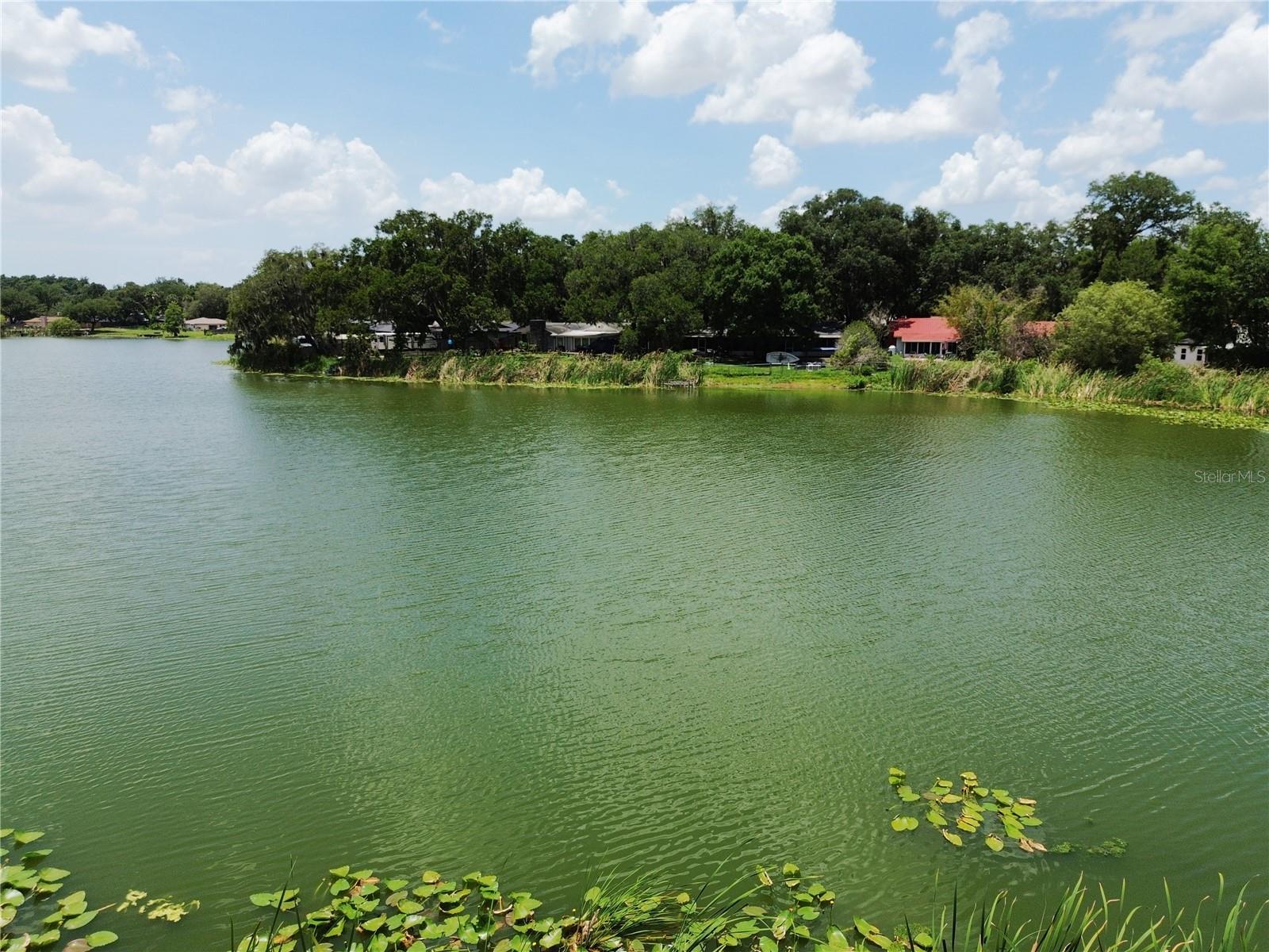 912 SHANGRI LA DR, SEFFNER, FL — photo 49