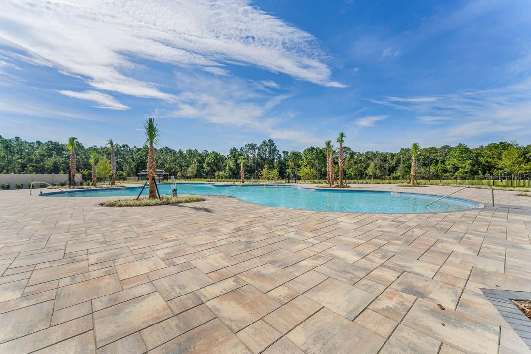 3068 HOUSE FINCH RD, ST CLOUD, FL — photo 49