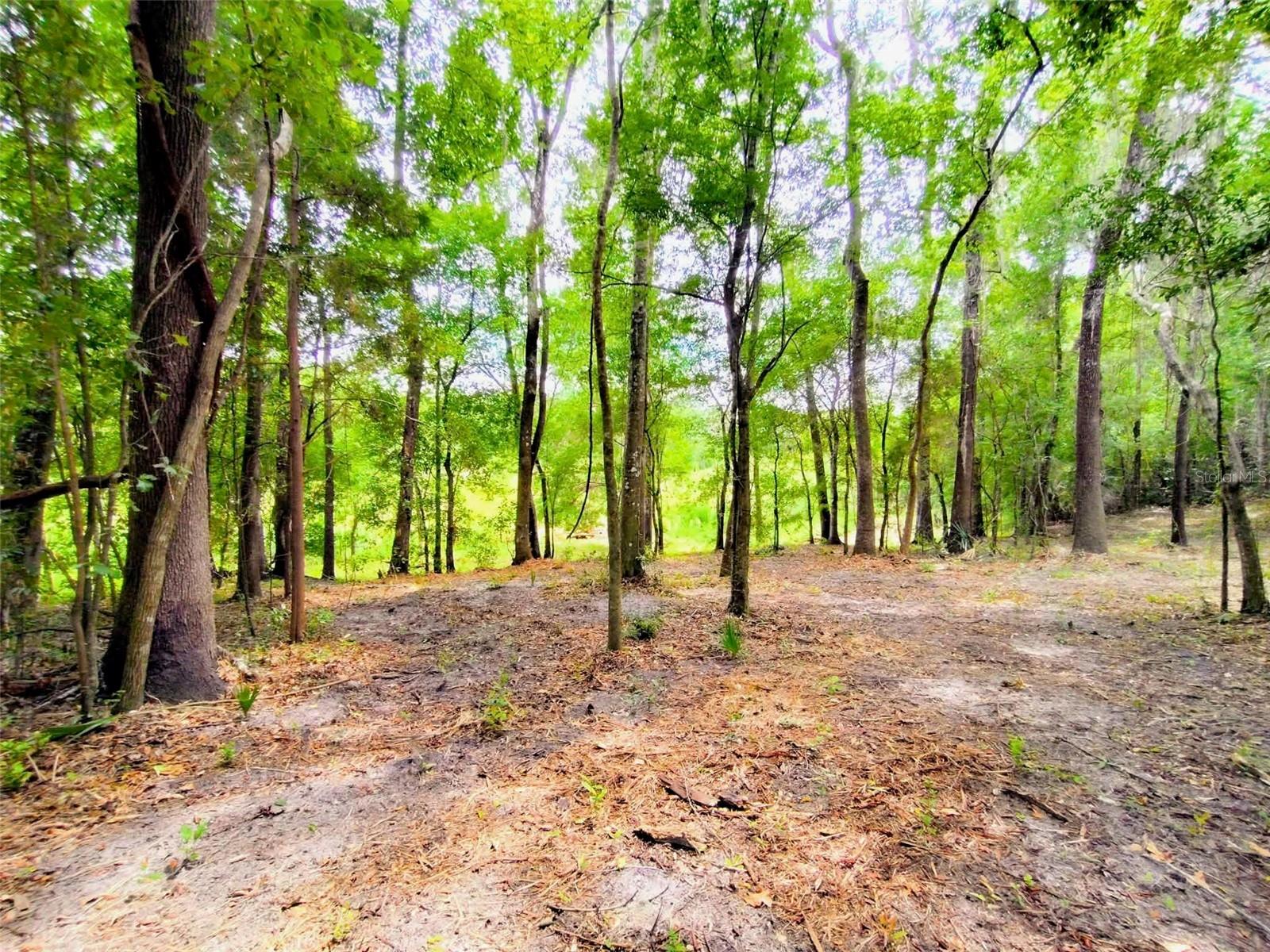 FITZHUGH AVE, BROOKSVILLE, FL — photo 5