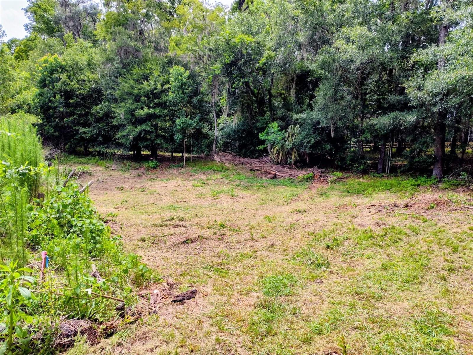 FITZHUGH AVE, BROOKSVILLE, FL — photo 10
