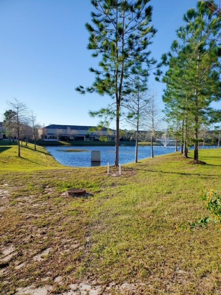 9907 HOUND CHASE DR, GIBSONTON, FL — photo 12