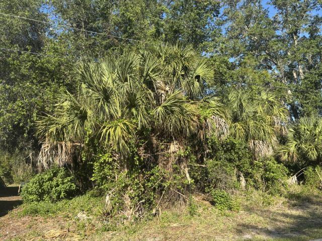 ABATE AVE, NORTH PORT, FL — photo 5