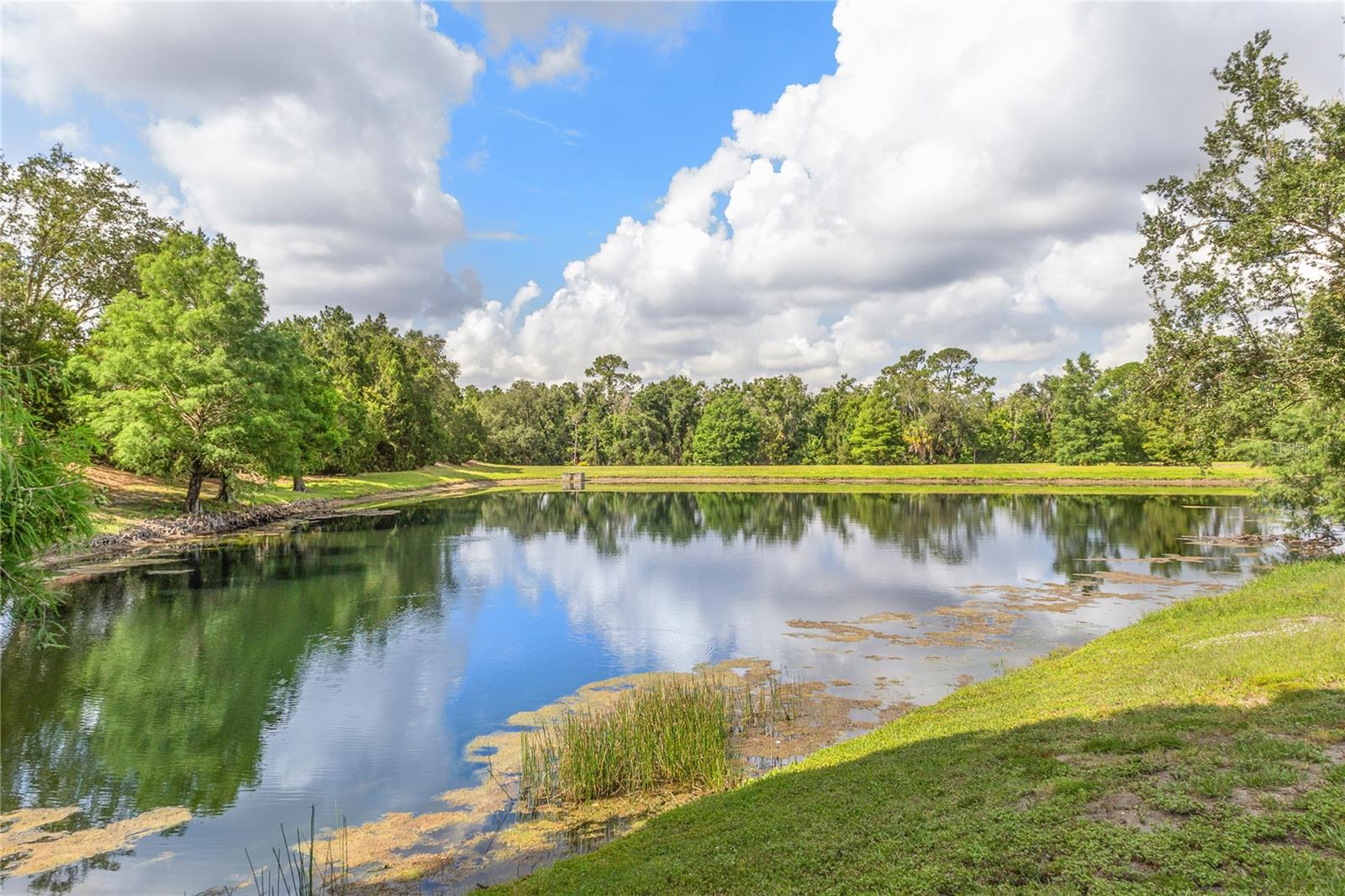 14243 CATTLE EGRET PL, BRADENTON, FL — photo 40