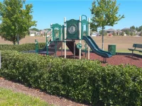 12549 HAMMOCK POINTE CIR — photo 30