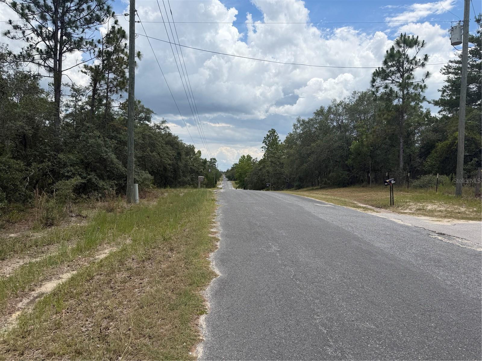 6215 S PREMIERE AVE, HOMOSASSA, FL — photo 3