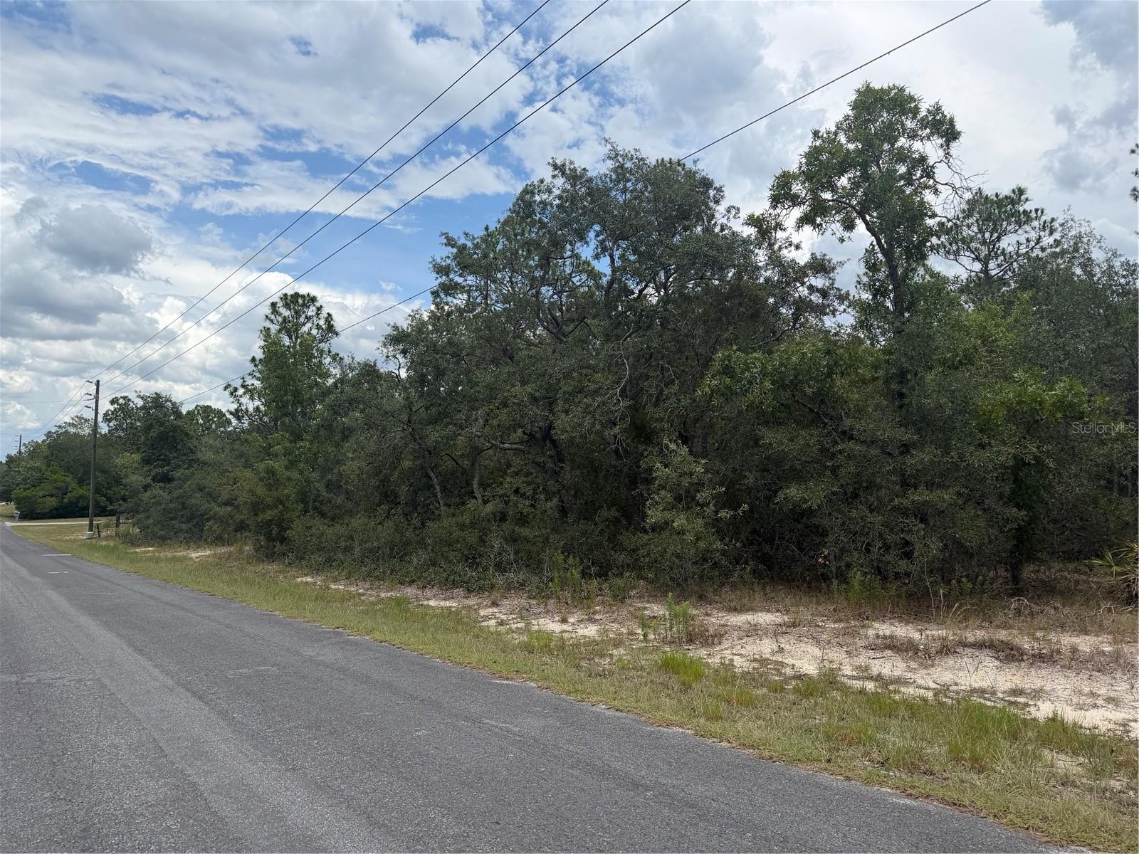 6215 S PREMIERE AVE, HOMOSASSA, FL — photo 4