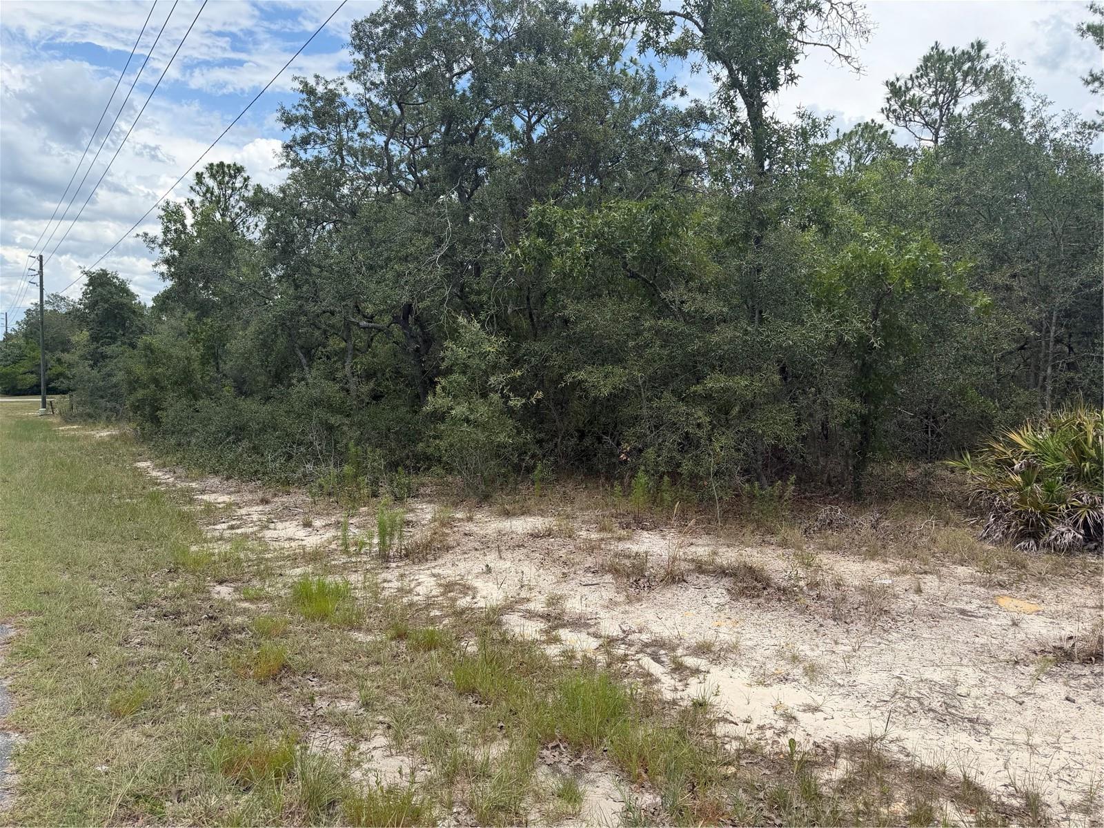 6215 S PREMIERE AVE, HOMOSASSA, FL — photo 6