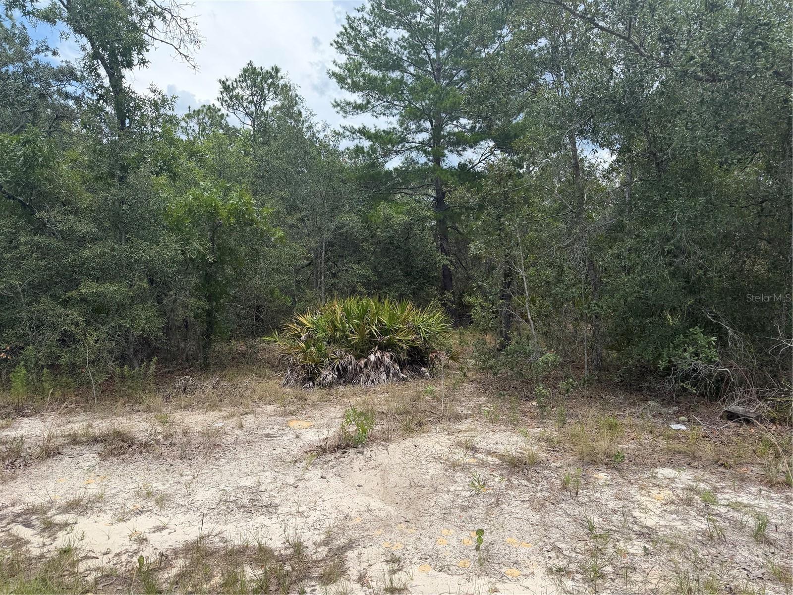 6215 S PREMIERE AVE, HOMOSASSA, FL — photo 7