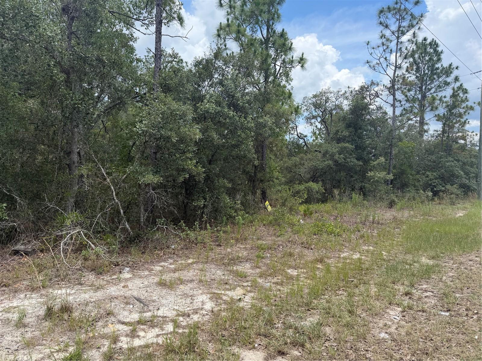 6215 S PREMIERE AVE, HOMOSASSA, FL — photo 8