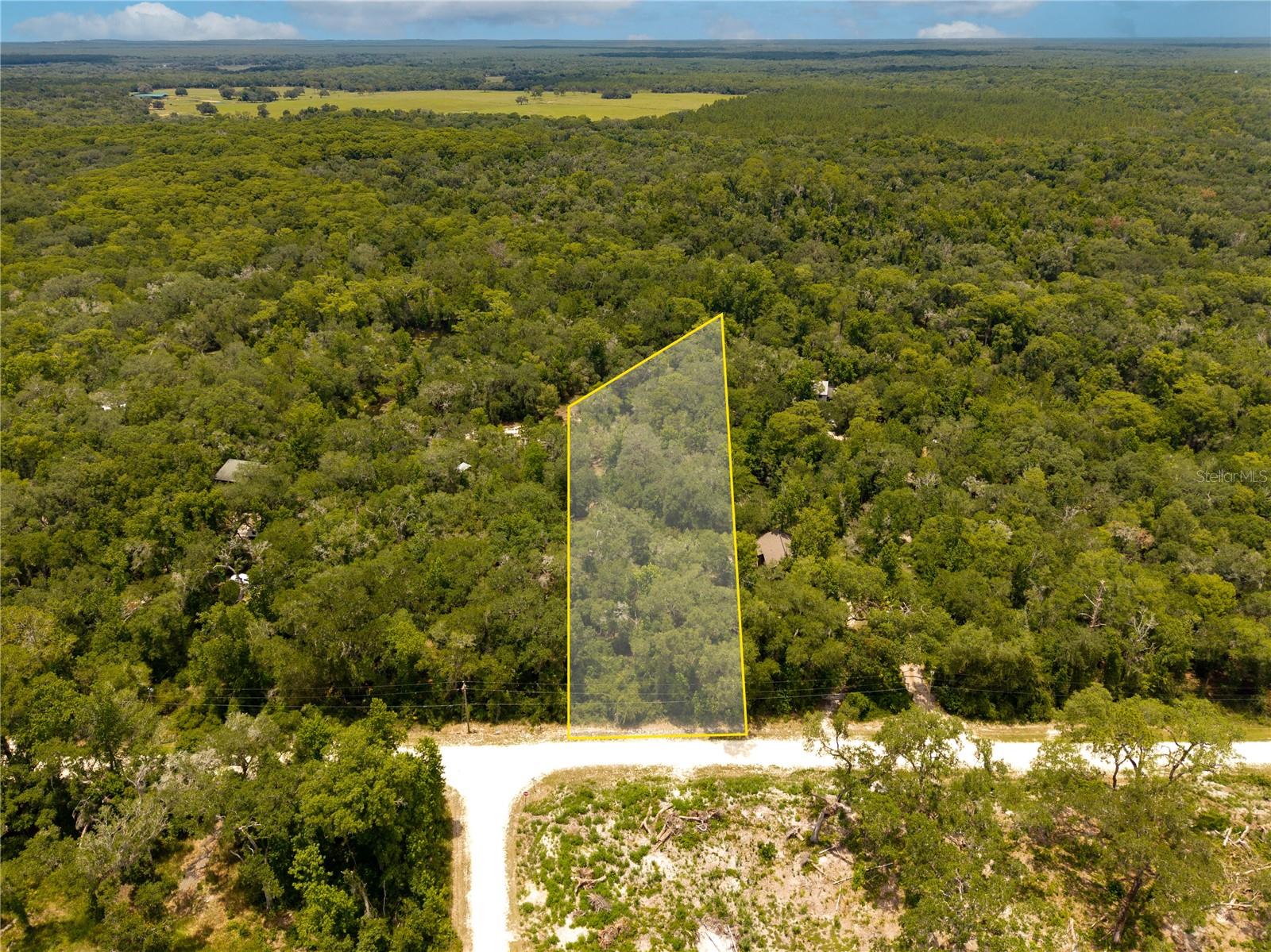 7337 RIVERVIEW DR, WEBSTER, FL — photo 4