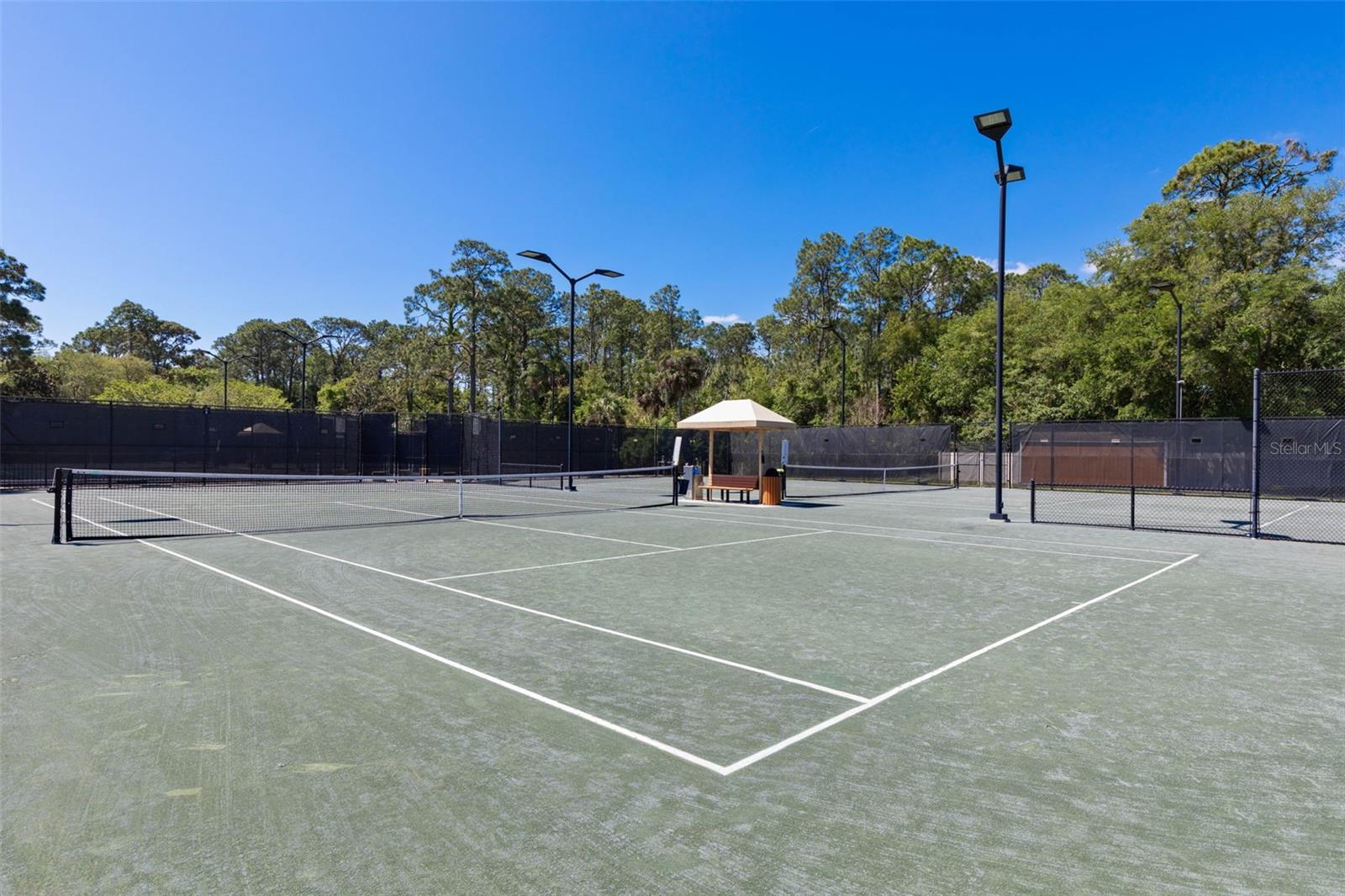22 IBIS CT N, PALM COAST, FL — photo 74