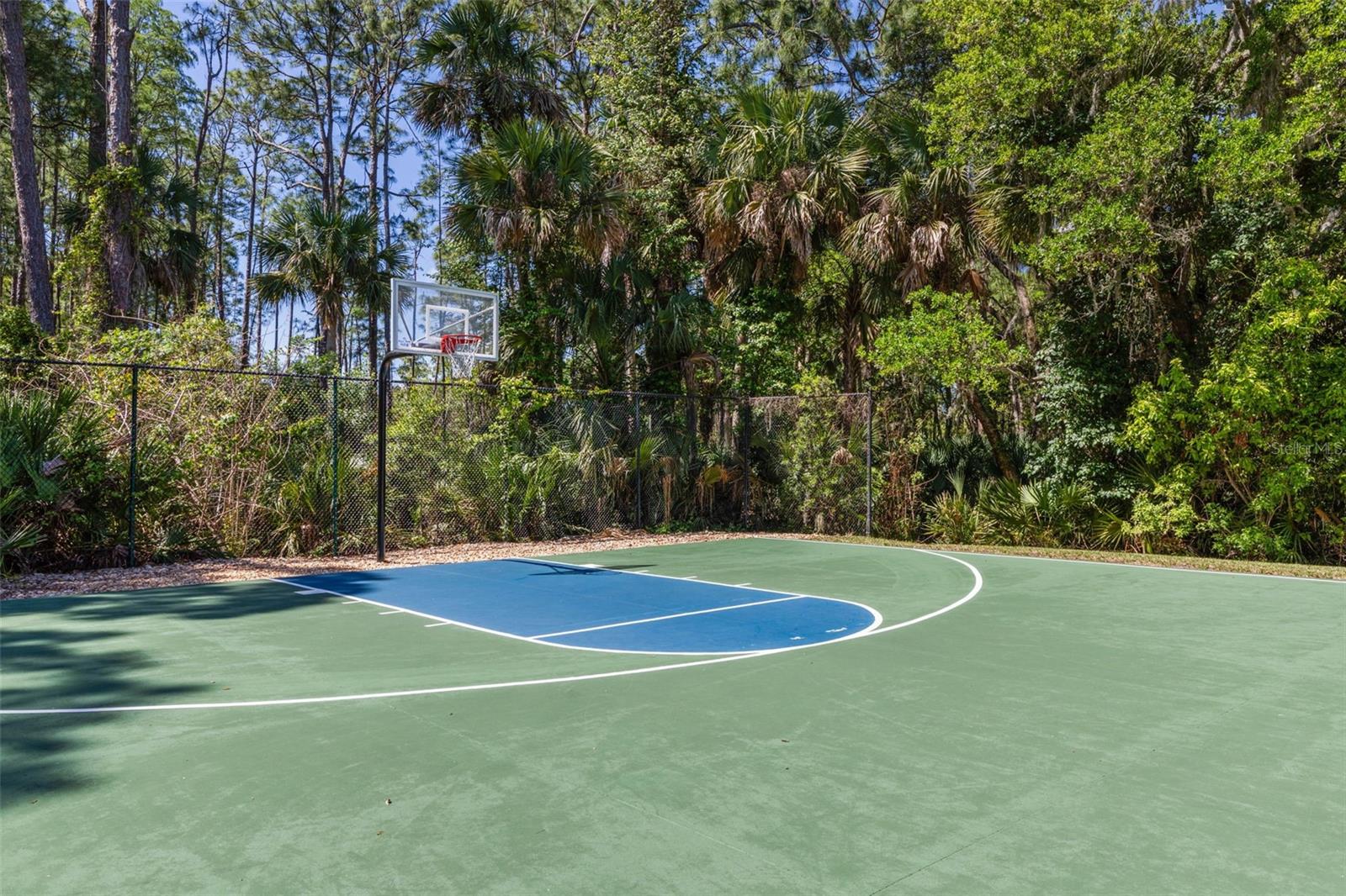 22 IBIS CT N, PALM COAST, FL — photo 76
