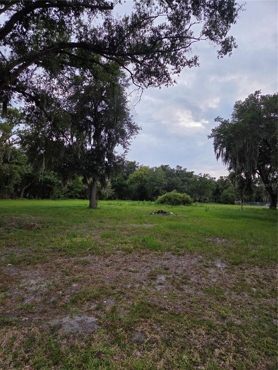10716 MCINTOSH RD, THONOTOSASSA, FL — photo 2