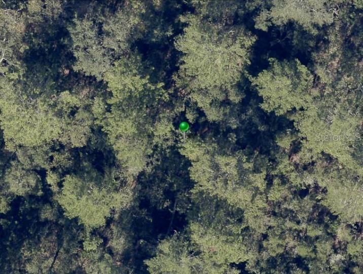 NO STREET, DE LEON SPRINGS, FL — photo 5