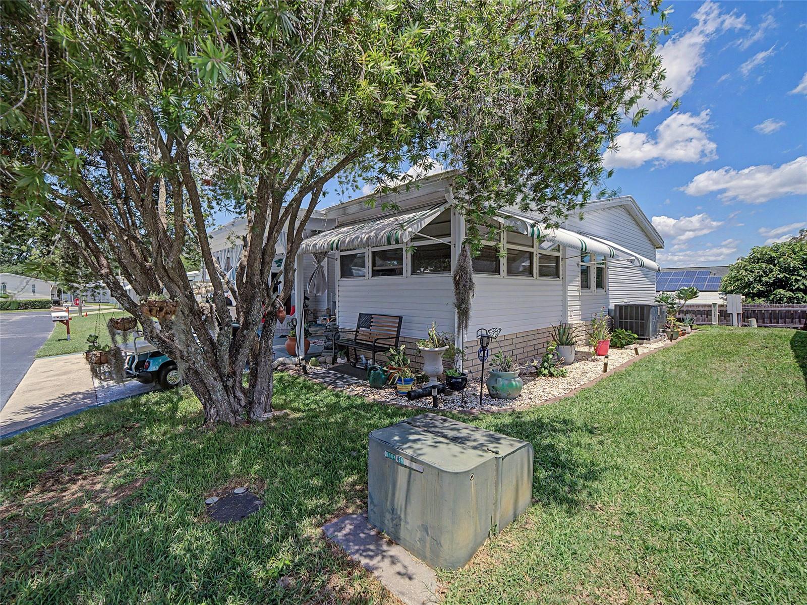 37513 CAMPO AVE, ZEPHYRHILLS, FL — photo 5