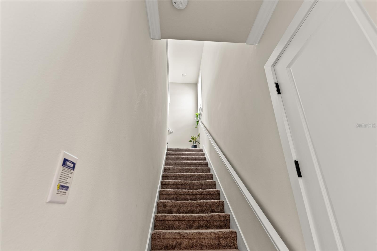 8761 DRUMMER PLANK DR, WESLEY CHAPEL, FL — photo 41