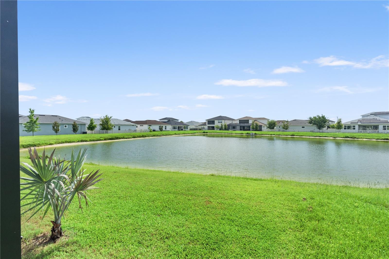 8761 DRUMMER PLANK DR, WESLEY CHAPEL, FL — photo 61