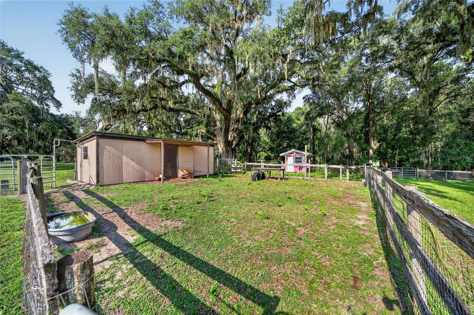 10844 SE HIGHWAY 42, SUMMERFIELD, FL — photo 25