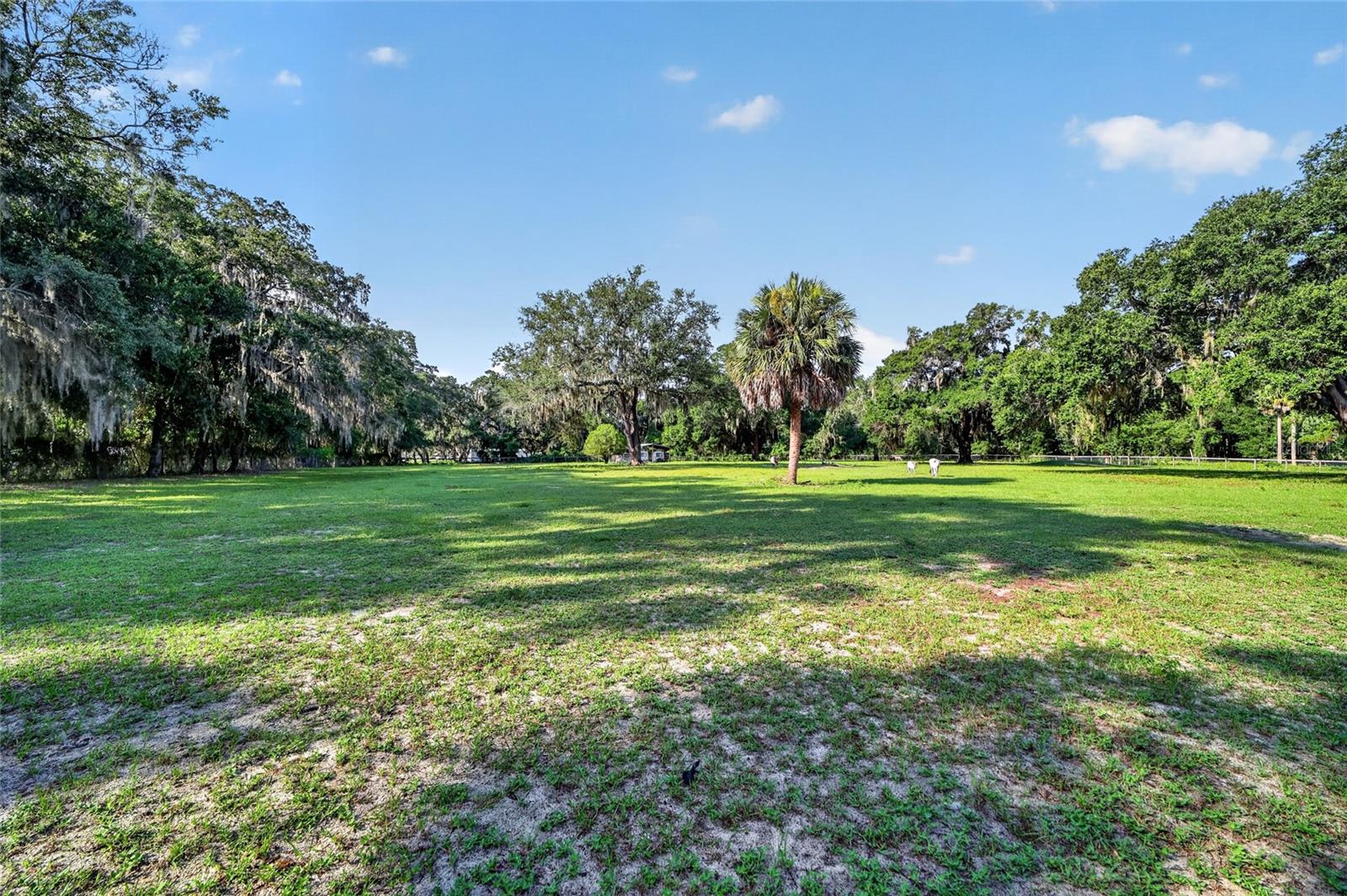 10844 SE HIGHWAY 42, SUMMERFIELD, FL — photo 26
