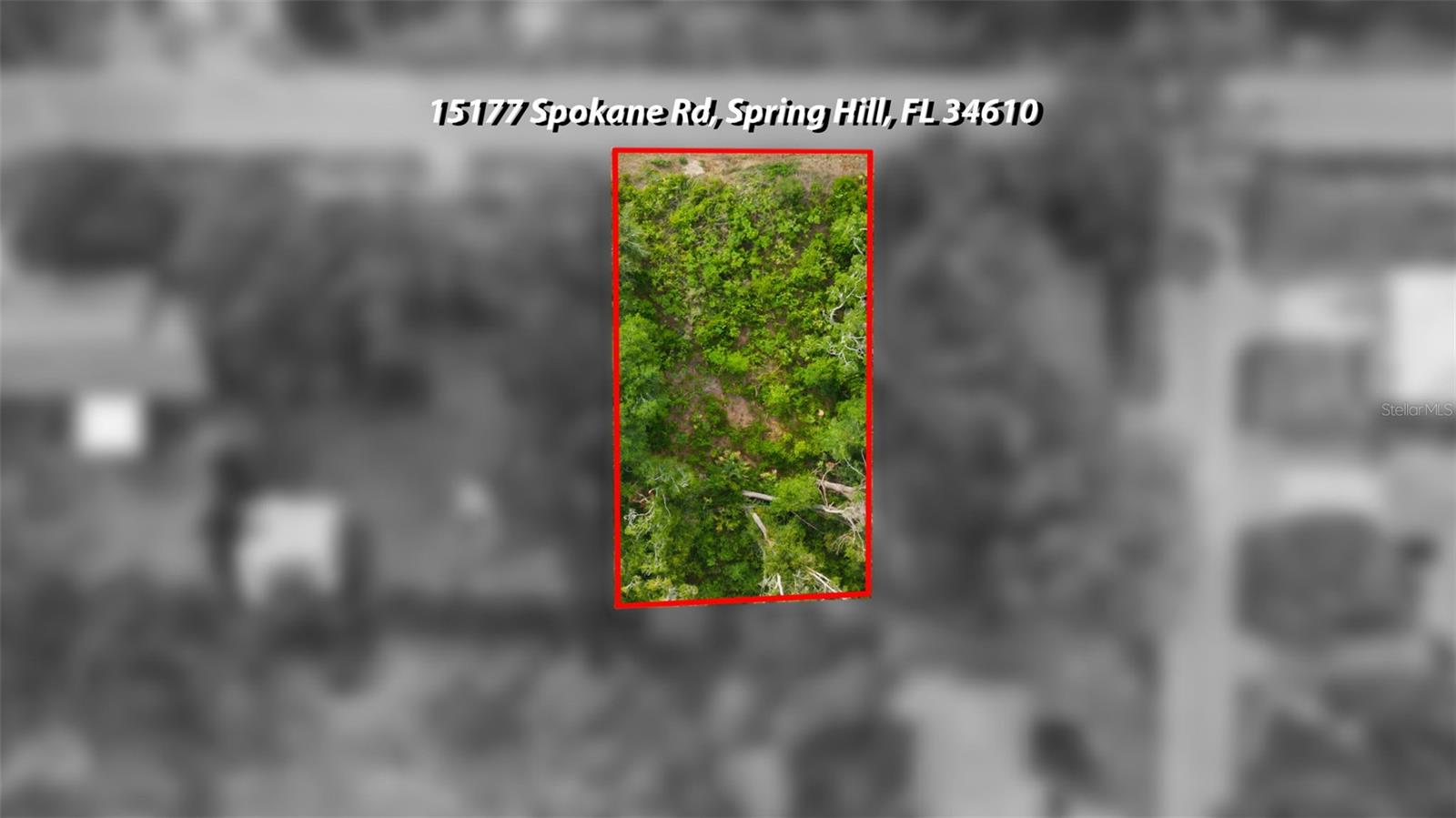15177 SPOKANE RD, SPRING HILL, FL — photo 2