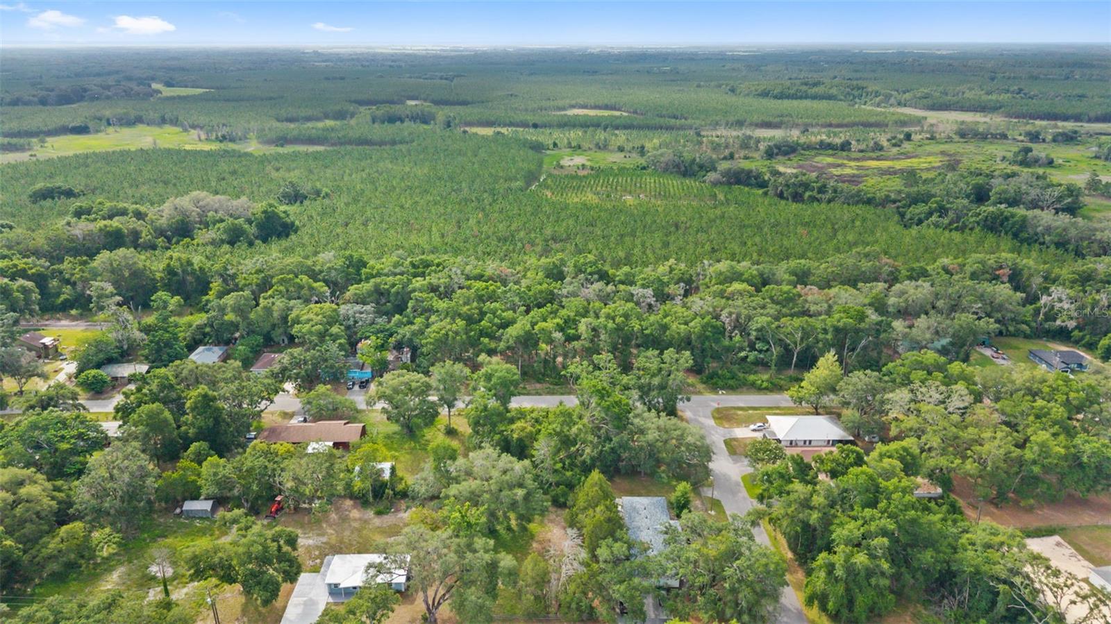 15177 SPOKANE RD, SPRING HILL, FL — photo 4