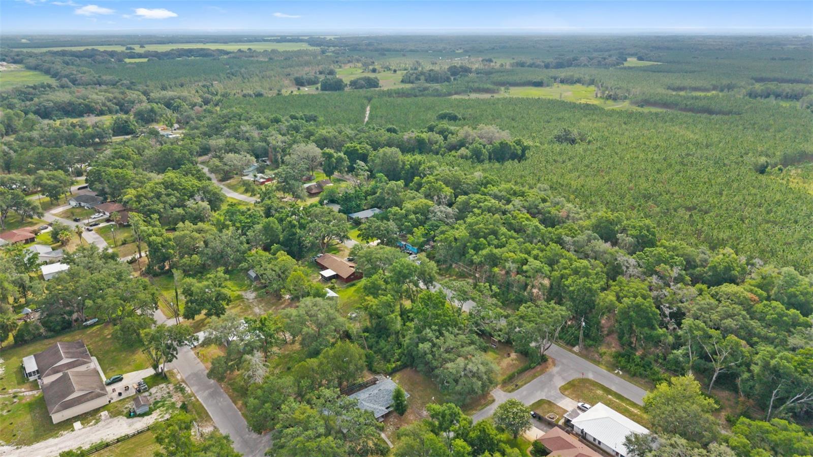 15177 SPOKANE RD, SPRING HILL, FL — photo 5
