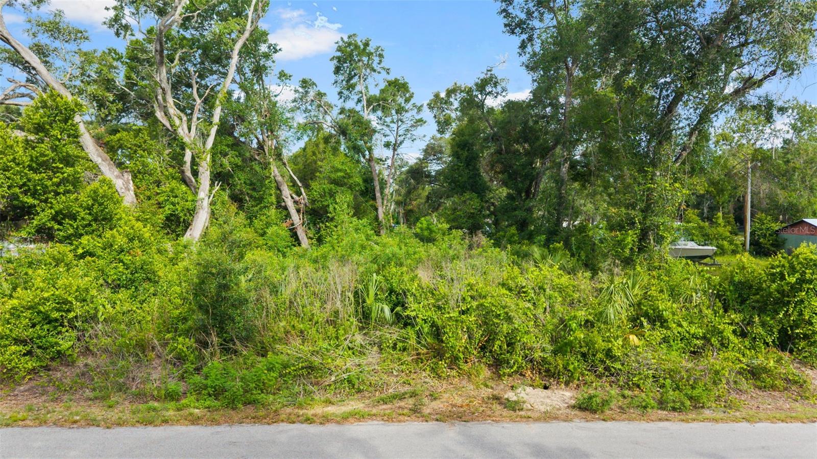 15177 SPOKANE RD, SPRING HILL, FL — photo 14