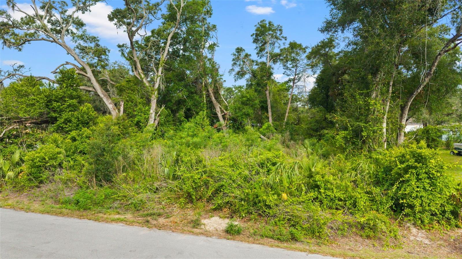 15177 SPOKANE RD, SPRING HILL, FL — photo 15